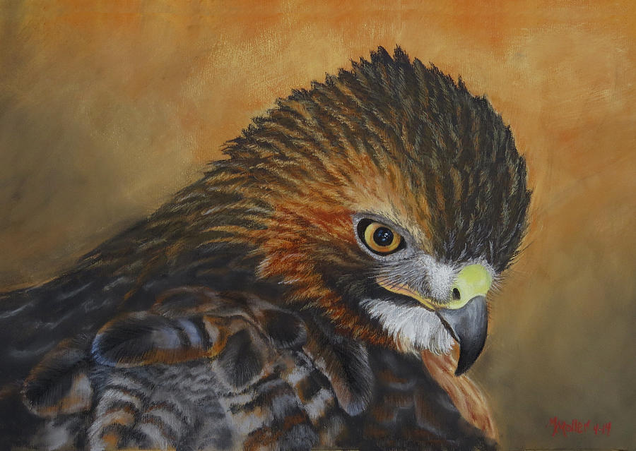 Hawk Pastel - Let Nothing Pass Unnoticed by Marcus Moller