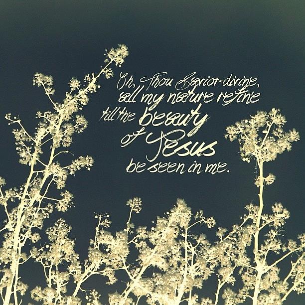 let The Beauty Of Jesus Be Seen In Photograph by Traci Beeson