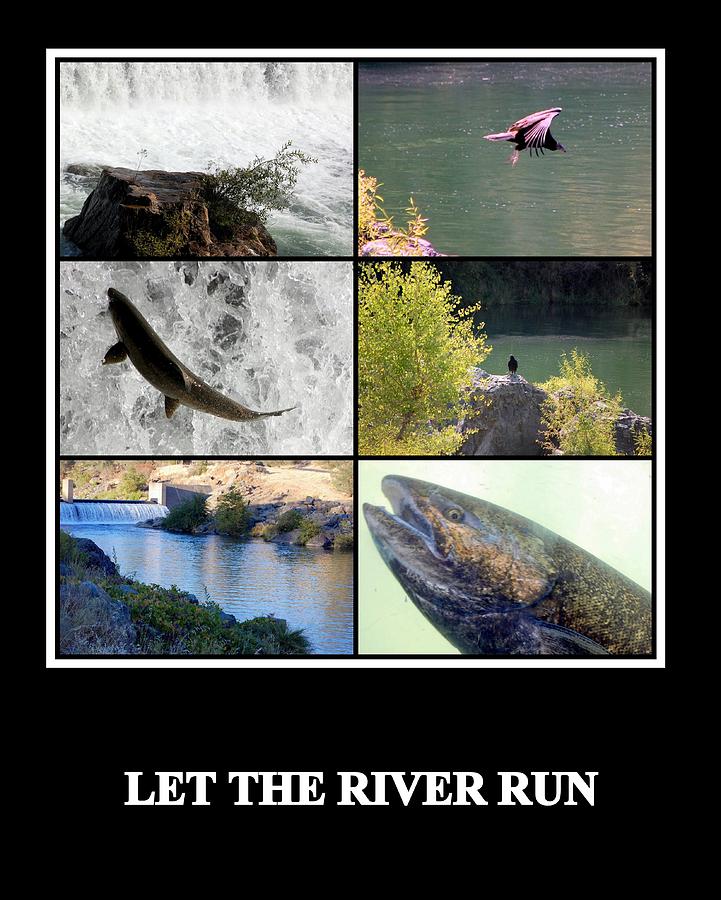 Let the River Run Photograph by AJ  Schibig
