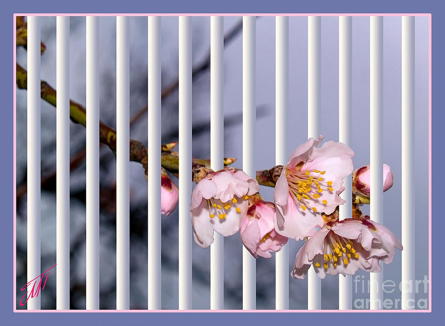Spring Photograph - Let the spring come in by Art by Magdalene