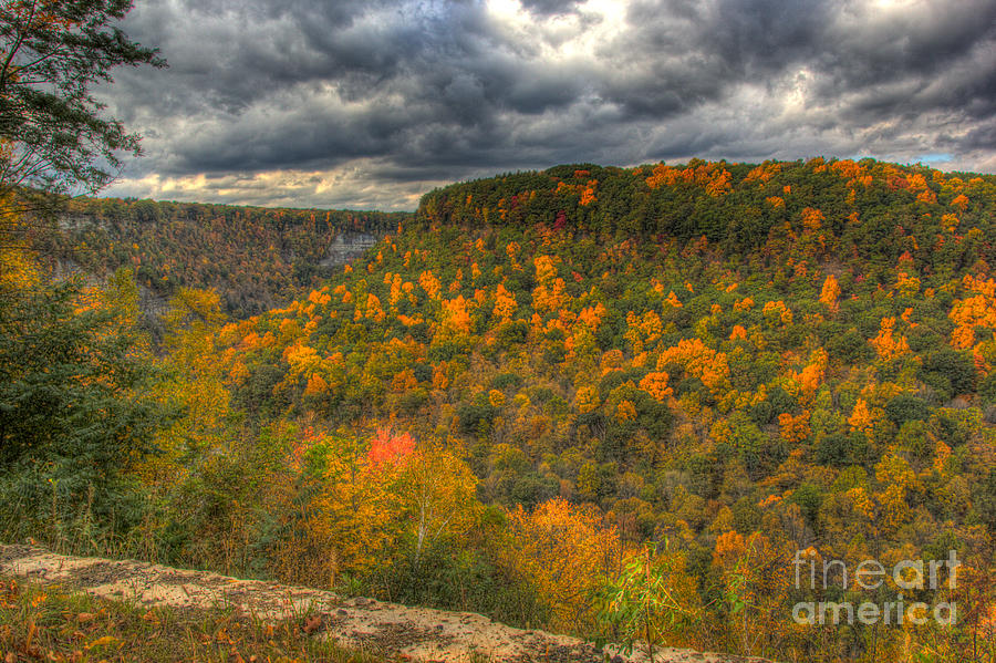Letchworth Gorge Photograph by Brad Marzolf Photography