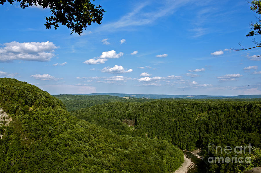 Nature Photograph - Letchworth State Park by Leanne Lei