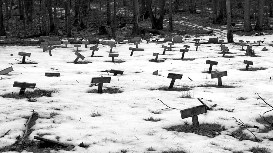 Letchworth Village Cemetery Photograph by Art Dingo
