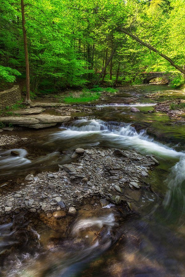 Letchworth Wolf Creek Photograph by Mark Papke