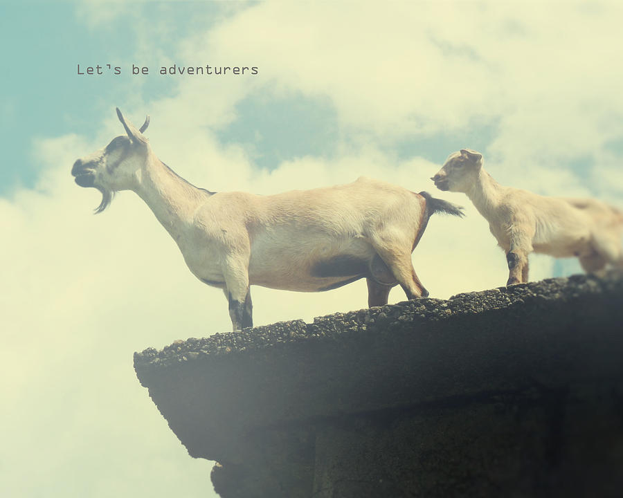 Goat Photograph - Lets be Adventurers by Studio Yuki