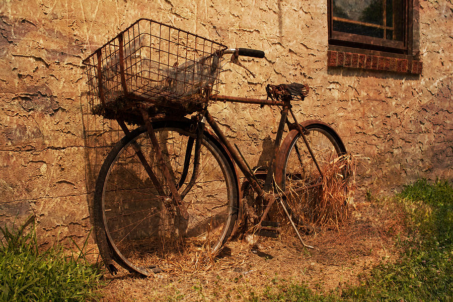 Lets go ride a bike Photograph by Michael Porchik