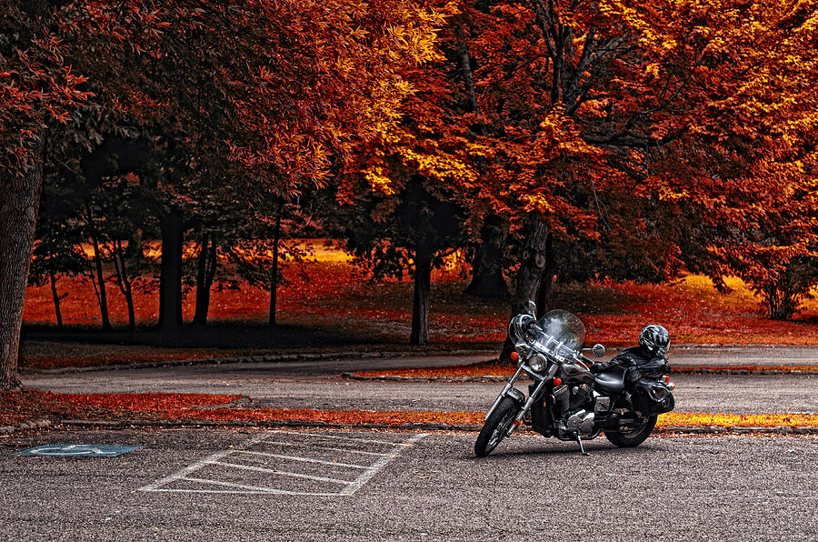 Fall Photograph - Lets Ride by Mark Papke