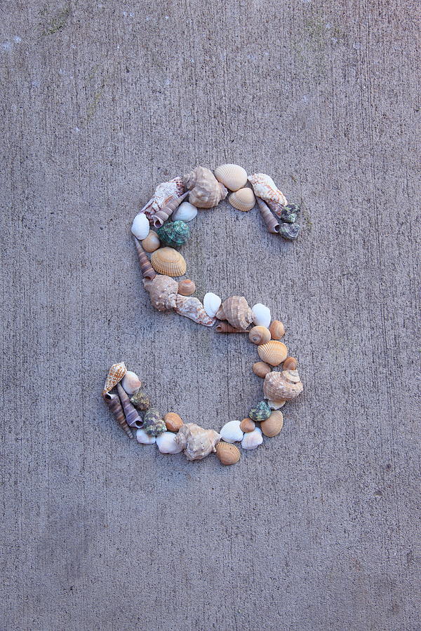 Letter S Made from Seashells Photograph by D. Sharon Pruitt Pink Sherbet Photography