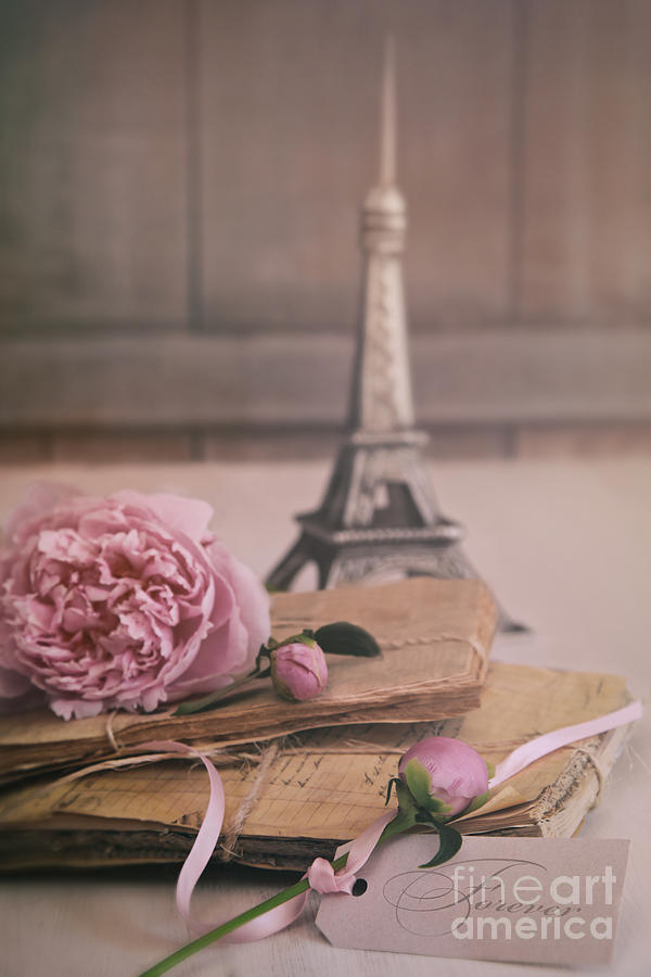Letters and papers with flowers and small eiffel towerin backgro Photograph by Sandra Cunningham