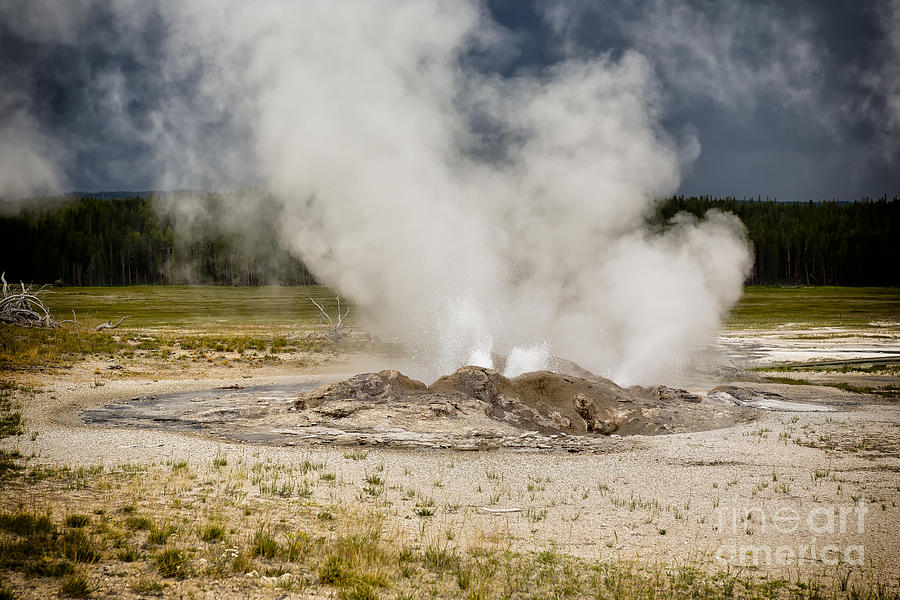 Letting Off Steam - Yellowstone Photograph by Belinda Greb