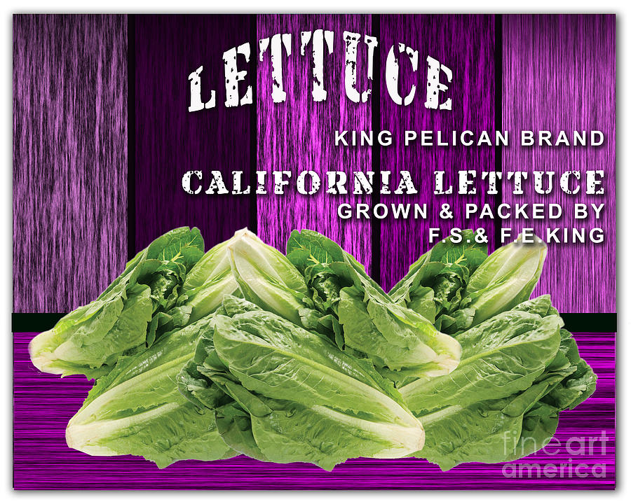 Lettuce Farm Mixed Media by Marvin Blaine
