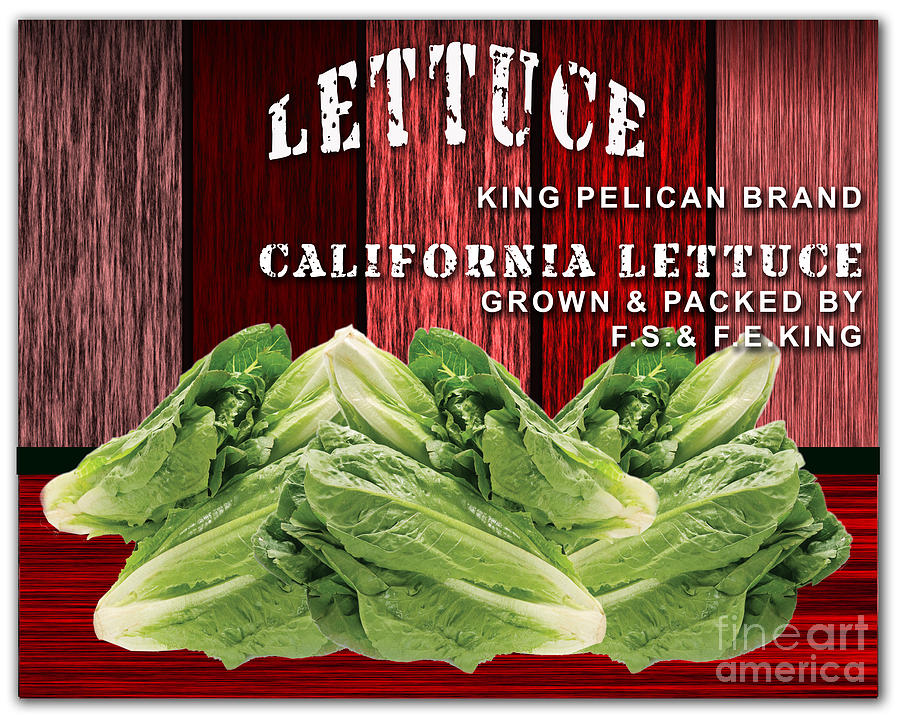 Lettuce Farming Mixed Media by Marvin Blaine