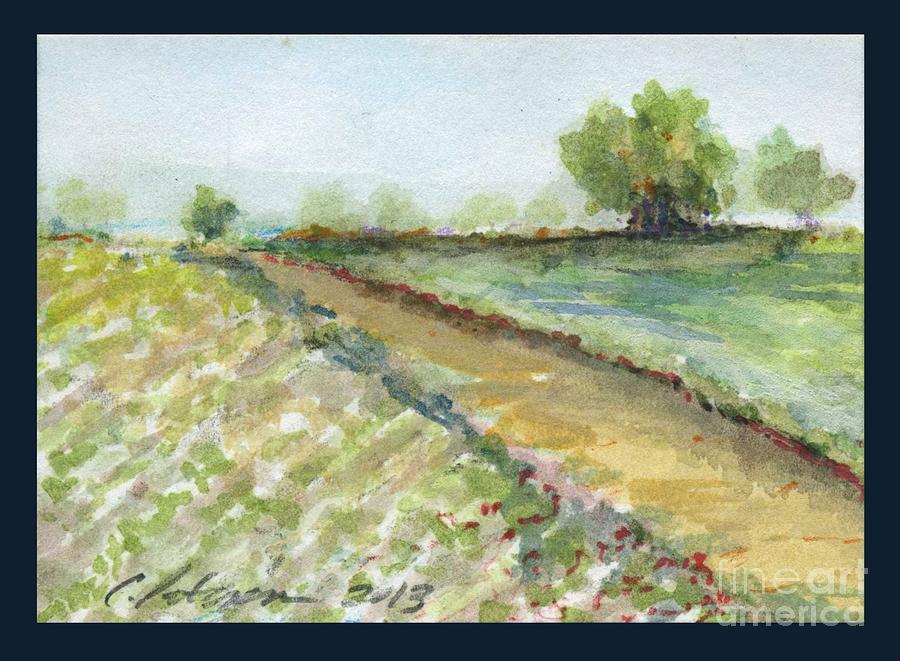 Lettuce Field Painting by Cathy Peterson