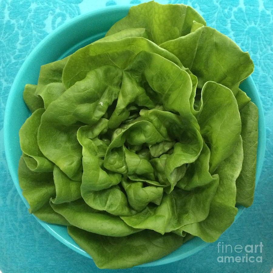 Lettuce in Aqua Bowl  Photograph by Robin Pedrero