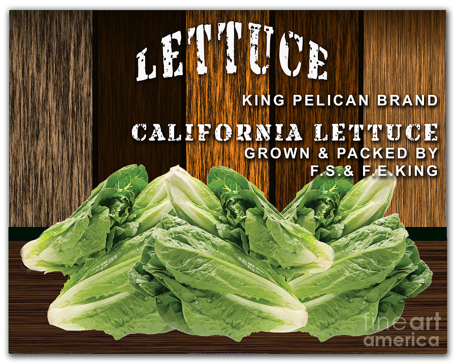 Lettuce Patch Mixed Media by Marvin Blaine