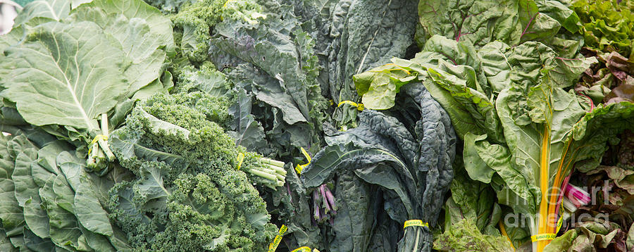 Lettuce Photograph - Lettuce by Rebecca Cozart