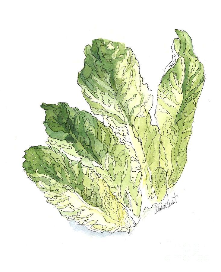 Lettuce Rejoice Painting by Maria Hunt