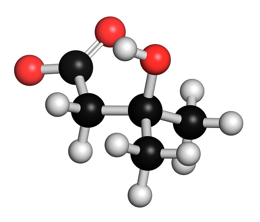 Catfish Photograph - Leucine Metabolite Molecule by Molekuul