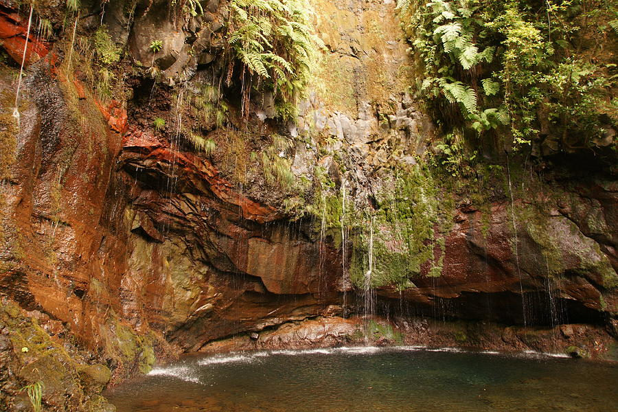 Madeira Photograph - Levada das 25 Fontes by Olaf Christian Madeira Photograph - Levada das 25 Fontes by Olaf Christian