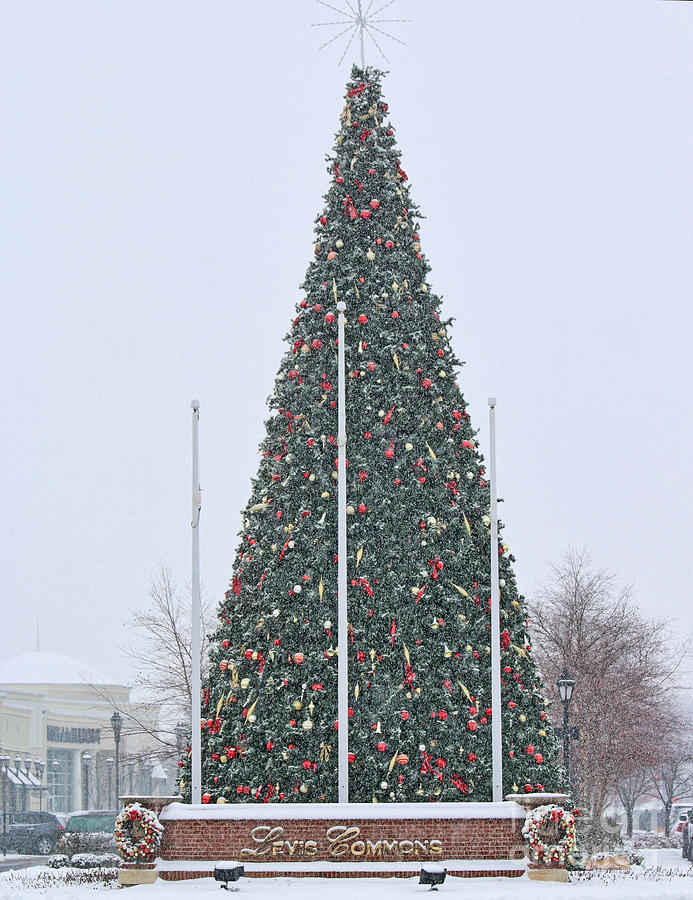 Levis Commons Christmas Tree Photograph by Jack Schultz