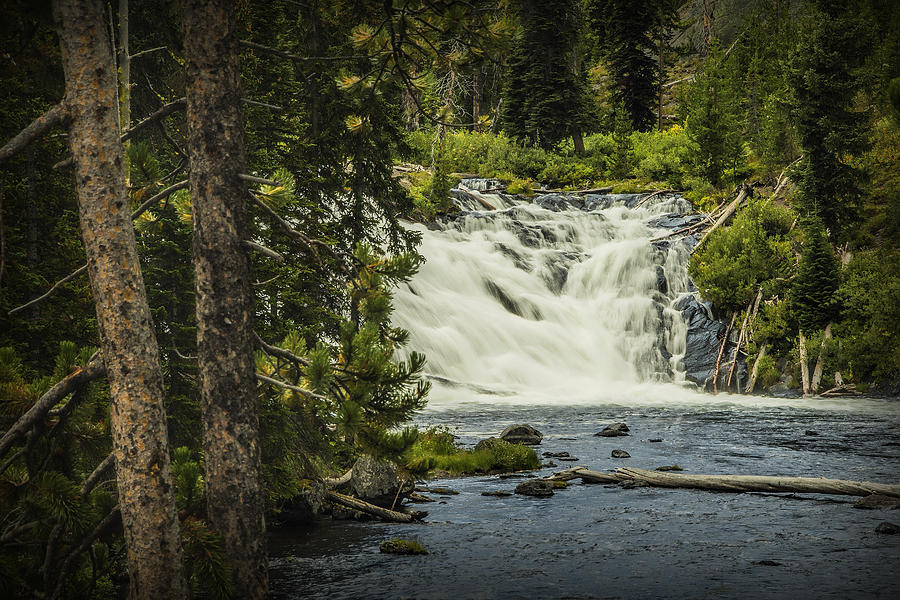 Lewis Falls in Yellowstone Photograph by Randall Nyhof
