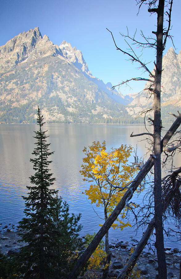 Lewis Lake in Fall Photograph by Janis Knight
