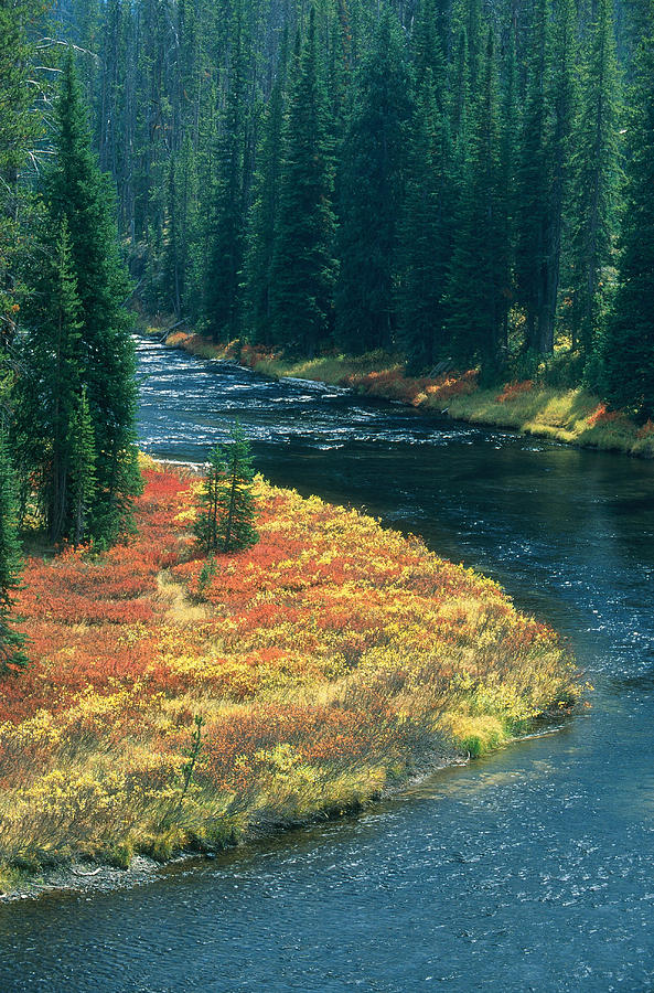 Lewis River In Autumn Photograph by Jeffrey Lepore
