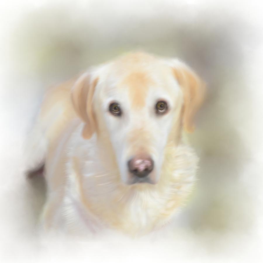 Lexie Painting by Mary Timman