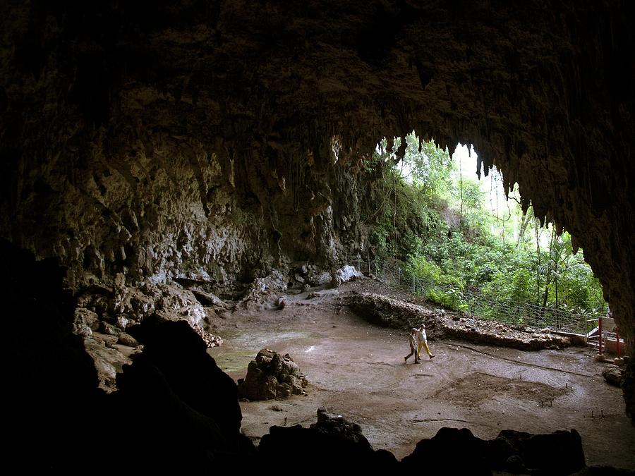 Prehistoric Photograph - Liang Bua Cave by Javier Trueba/msf/science Photo Library