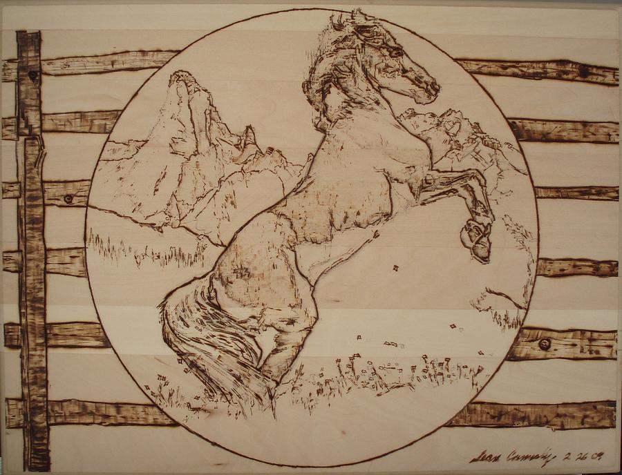 Horse Rearing Pyrography by Sean Connolly