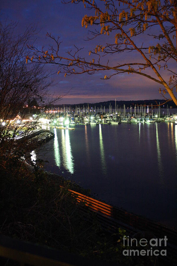 Liberty Bay at Night Photograph by Vicki Maheu