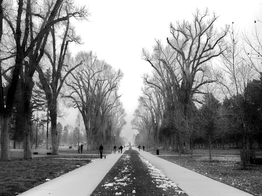 Liberty Park Walkway by Tarey Potter Liberty Park Walkway by Tarey Potter