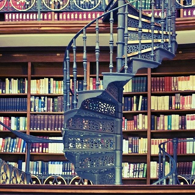Library Spiral Photograph by Georgia Clare