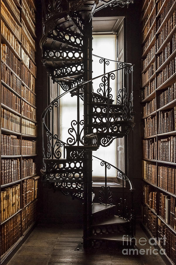 Library Photograph by Svetlana Sewell