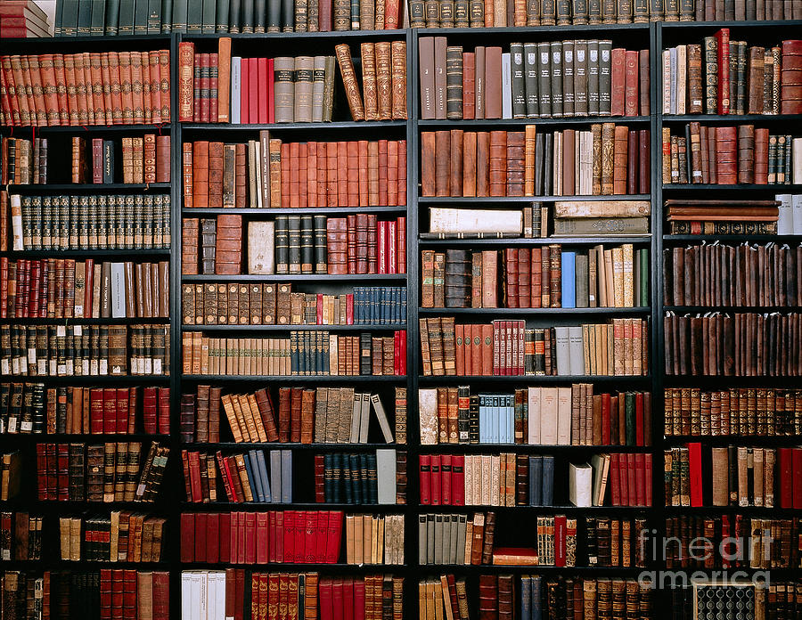 Book Photograph - Library by Tierbild Okapia