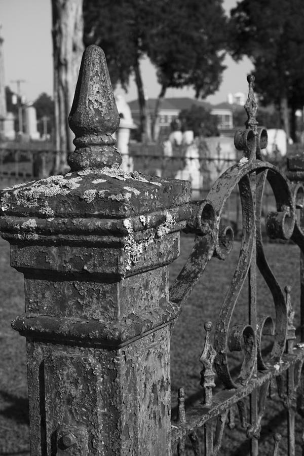 Lichen and Wrought Iron Cemetery Plot Photograph by Kathy Clark