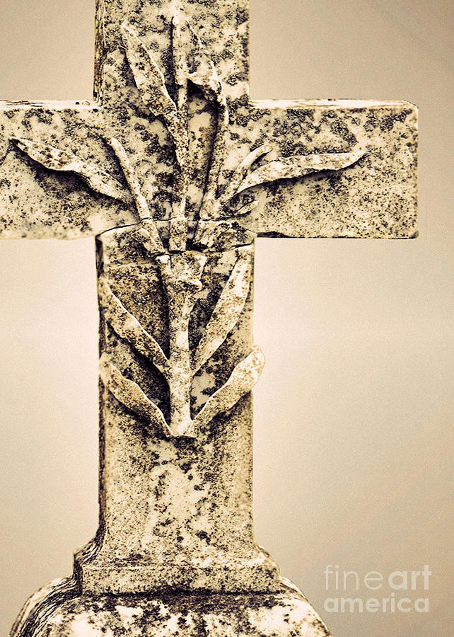 Lichen Cross Bronze Photograph by Josephine Cohn