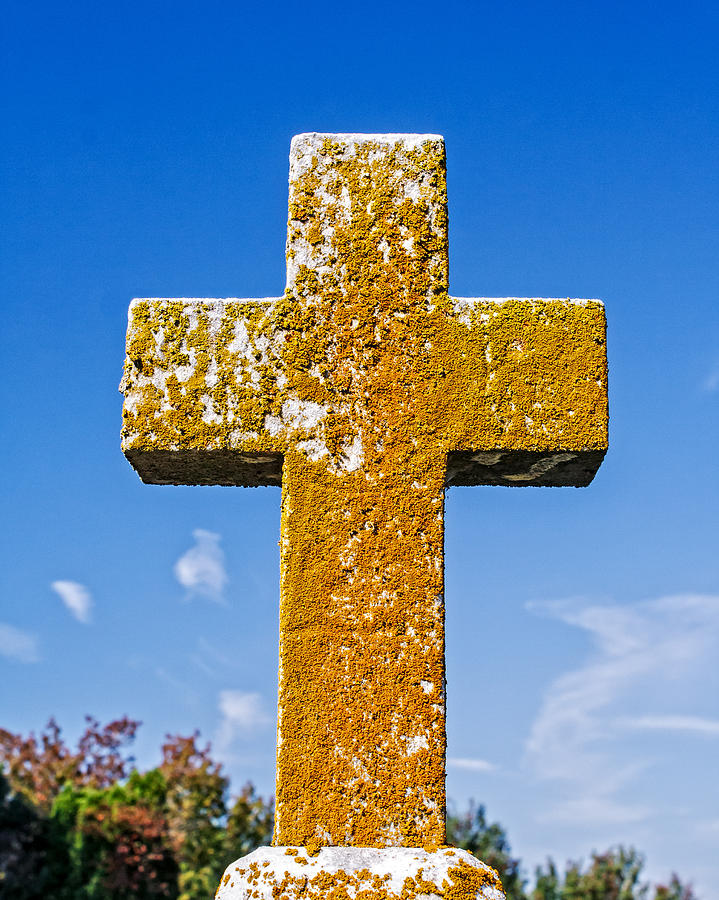 Lichen Cross Headstone Photograph