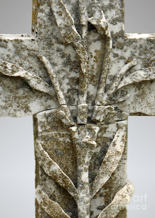 Lichen Cross Original Photograph by Josephine Cohn
