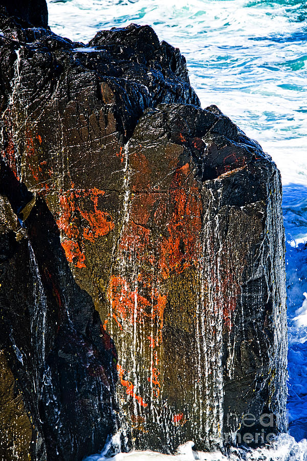 Lichen on Basalt Rock Photograph by Peter Kneen