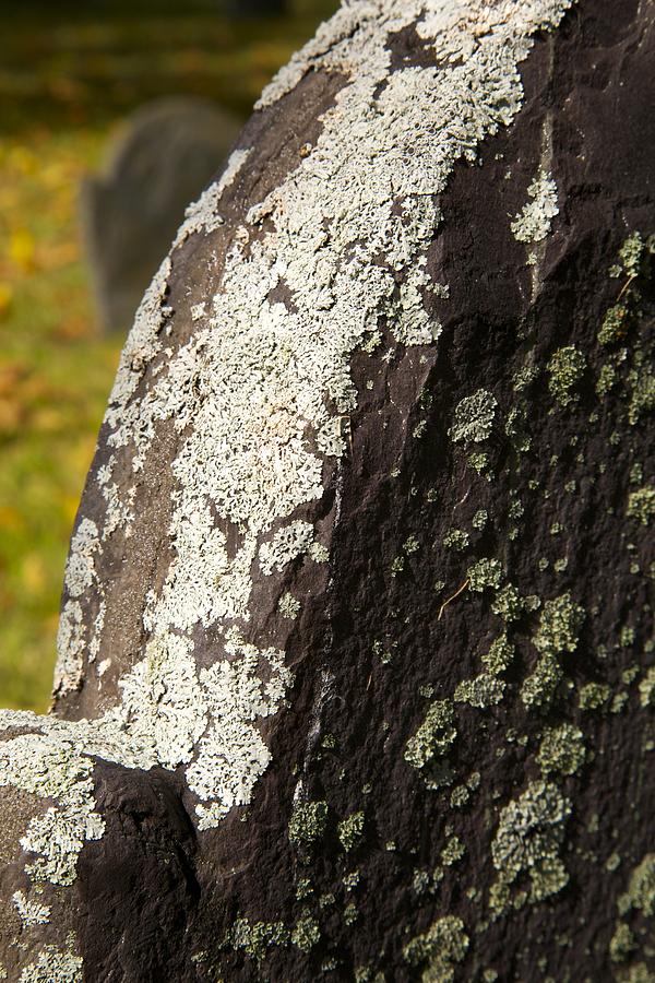 Lichen on Headstone Photograph by Allan Morrison