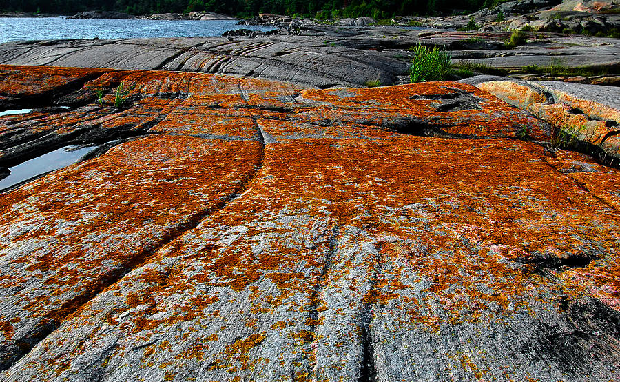 Lichen on the Rocks- 2 Photograph by Patrick Boening