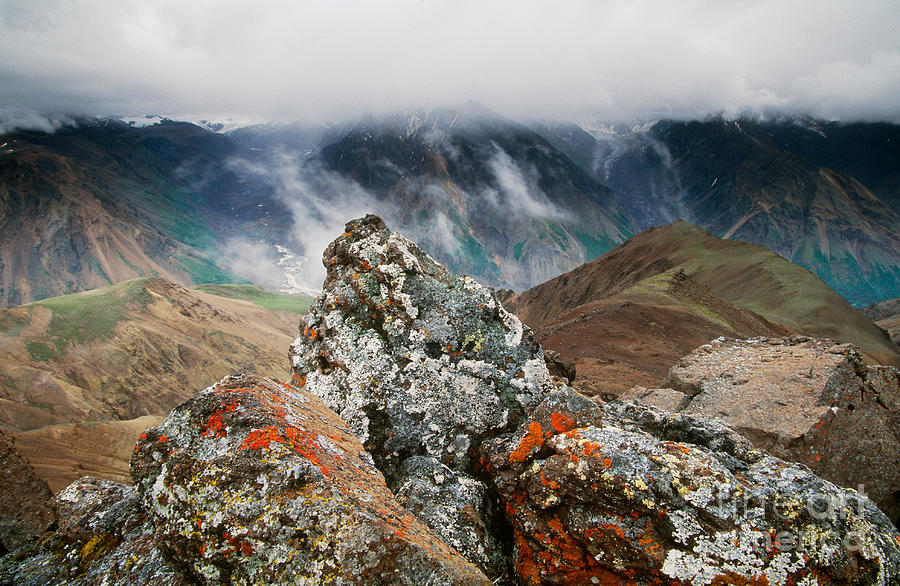 Lichen Rocks, Alaska Photograph by Art Wolfe
