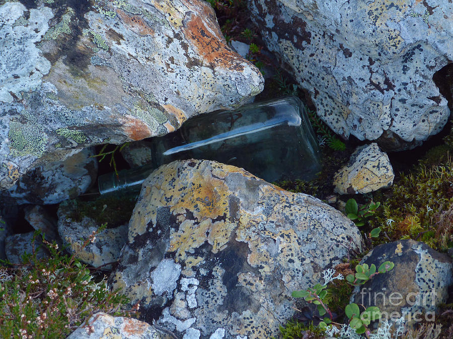 Lichen Rocks and Bottle Photograph by Phil Banks