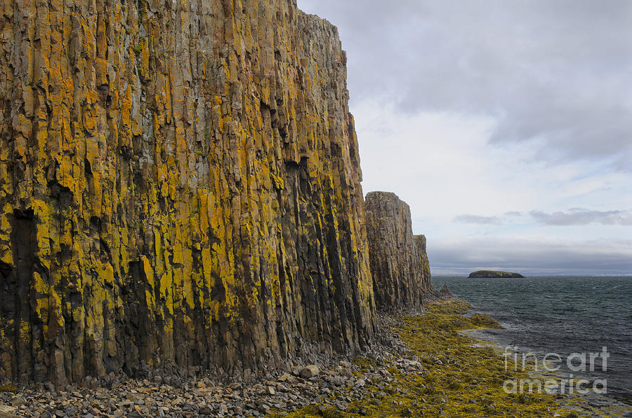 Lichened Basalt Columns, Iceland Photograph by John Shaw Lichened Basalt Columns, Iceland Photograph by John Shaw