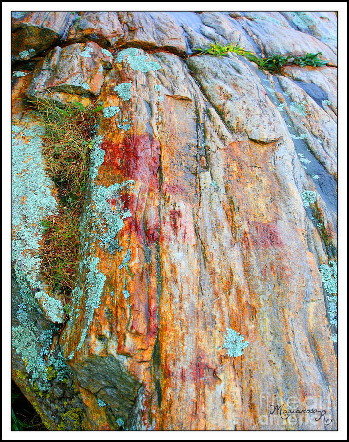 Lichens on Rocks Photograph by Mariarosa Rockefeller