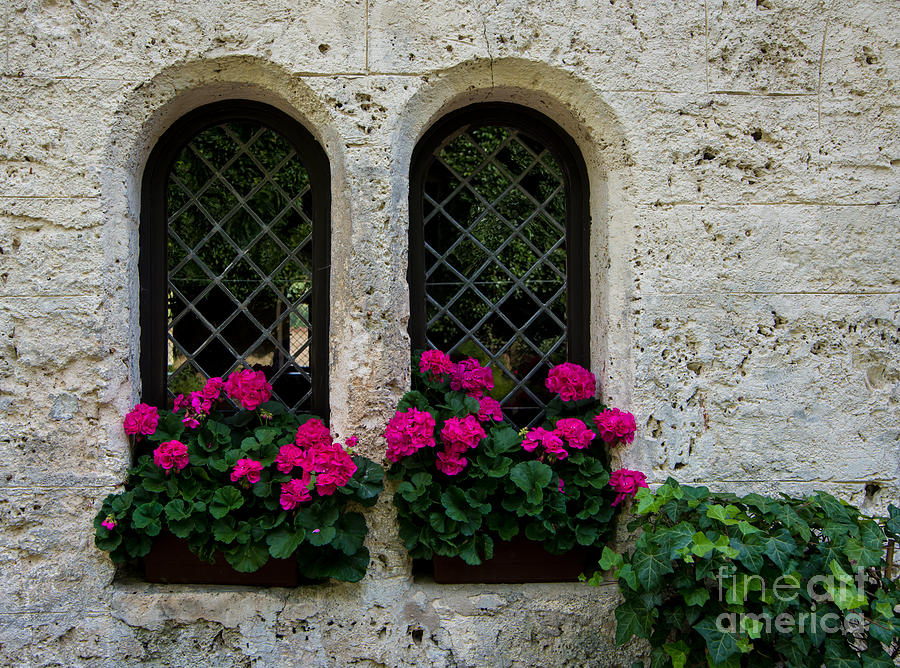 Lichtenstein Castle Arched Flower Windows - Germany Photograph by Gary Whitton