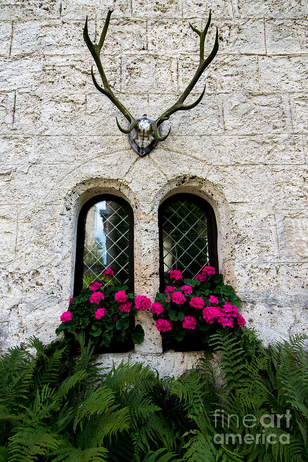 Lichtenstein Castle Windows Wall and Antlers - Germany Photograph by Gary Whitton