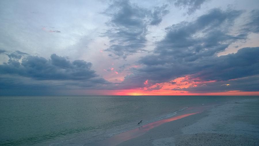 Lido Key Sunset Photograph By Charles J Pfohl - Fine Art America