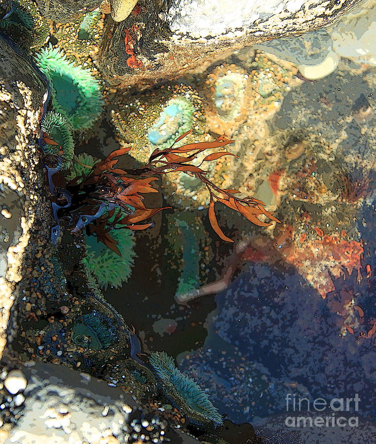 Life in the Tide Pool Painting by Jeanette French